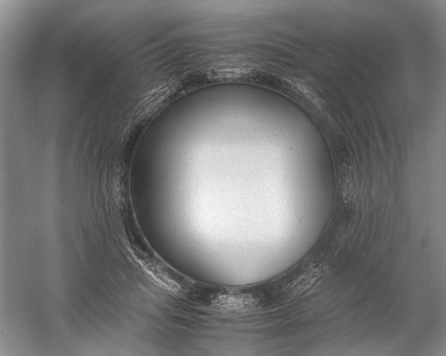 X0000060550455200511171543