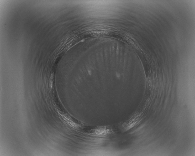 X0000060550458200511171543