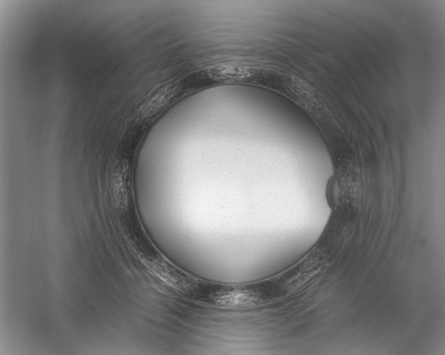 X0000060550460200511171543