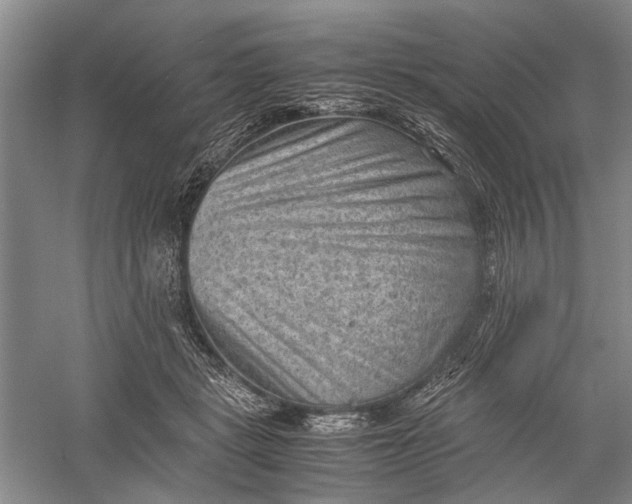 X0000060550461200511171543