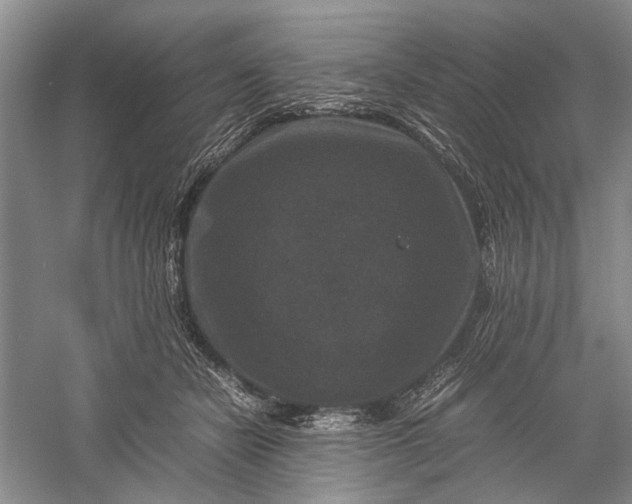 X0000060550462200511171543