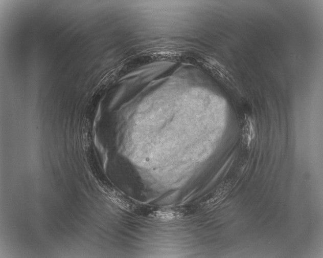 X0000060550464200511171543