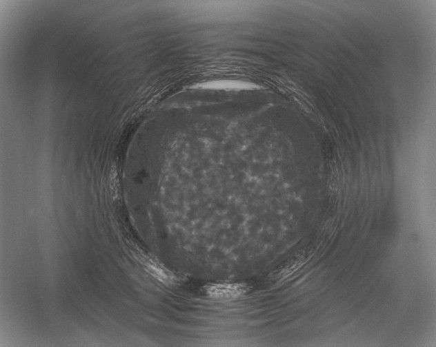 X0000060550465200511171543