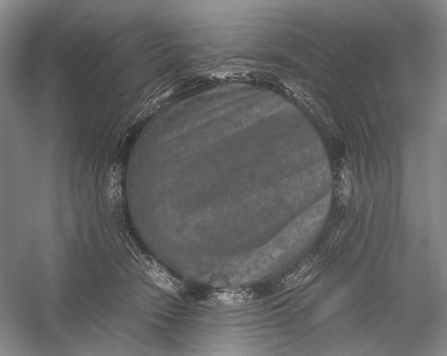 X0000060550466200511171543