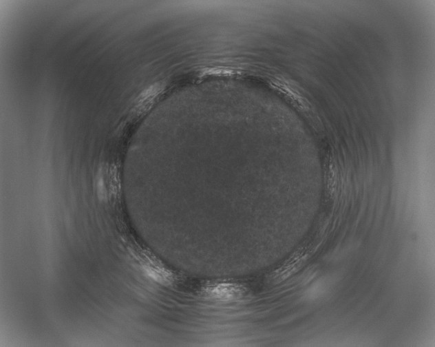 X0000060550467200511171543