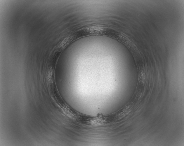 X0000060550468200511171543