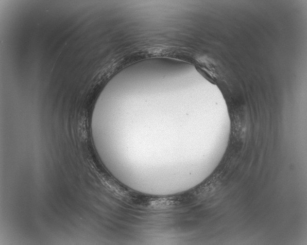 X0000060550470200511171543