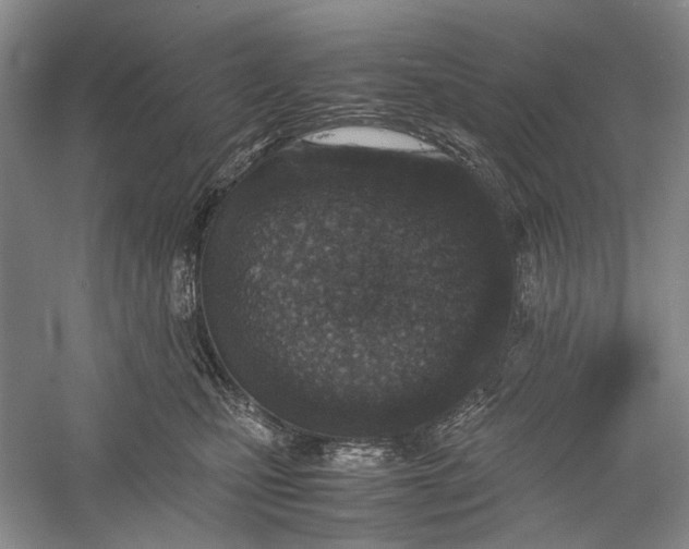 X0000060550471200511171543