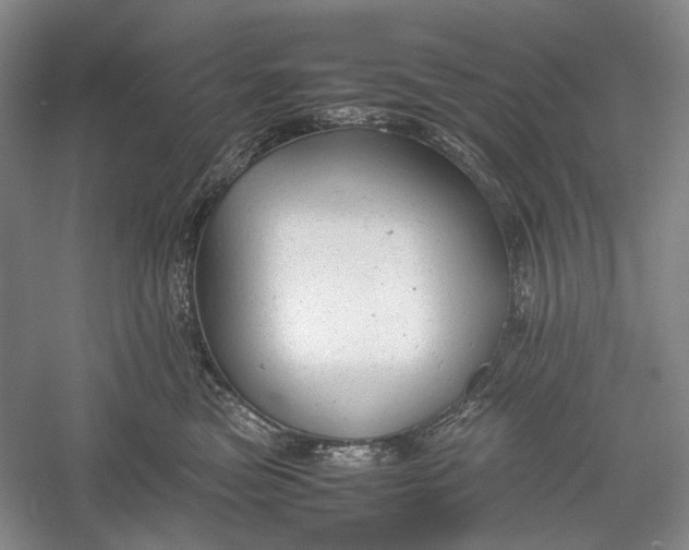 X0000060550473200511171543