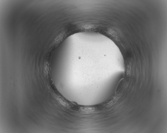 X0000060550476200511171543