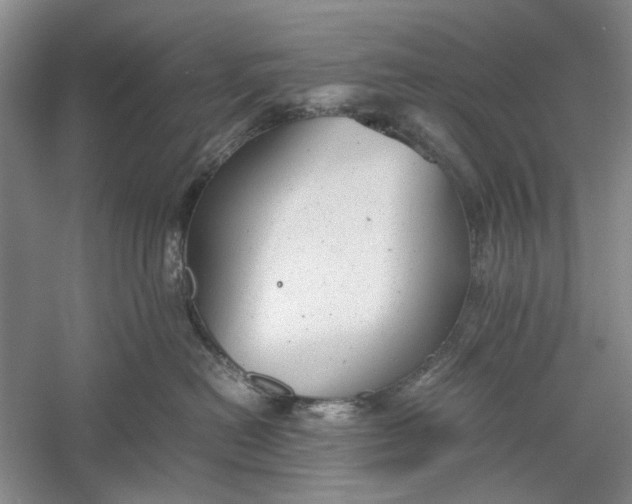 X0000060550478200511171543