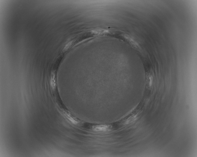 X0000060550479200511171543