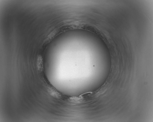 X0000060550480200511171543