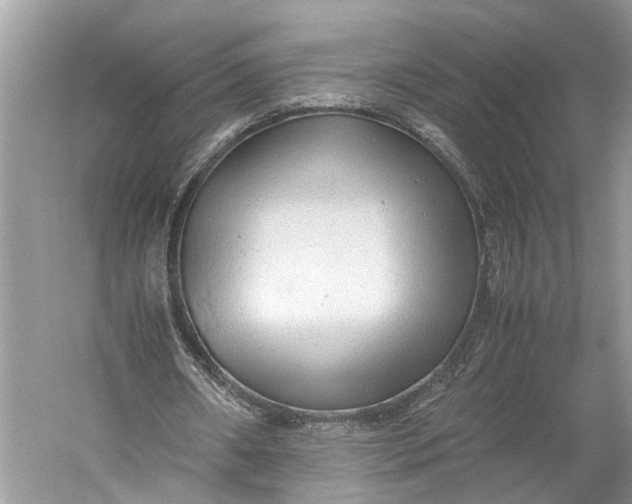 X0000060550482200511171543