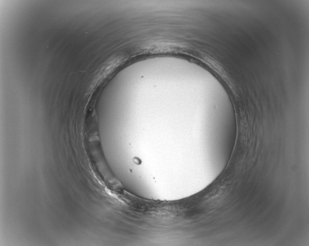 X0000060550485200511171543