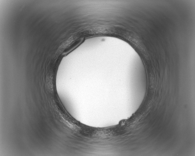 X0000060550489200511171542