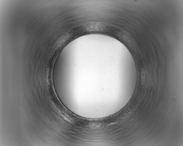 X0000060550490200511171542