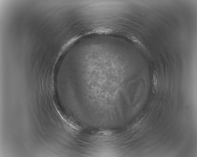 X0000060550492200511171542