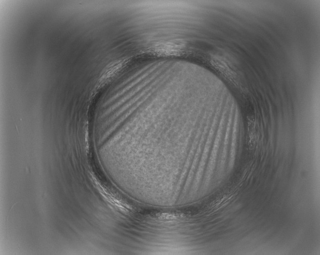 X0000060550494200511171542