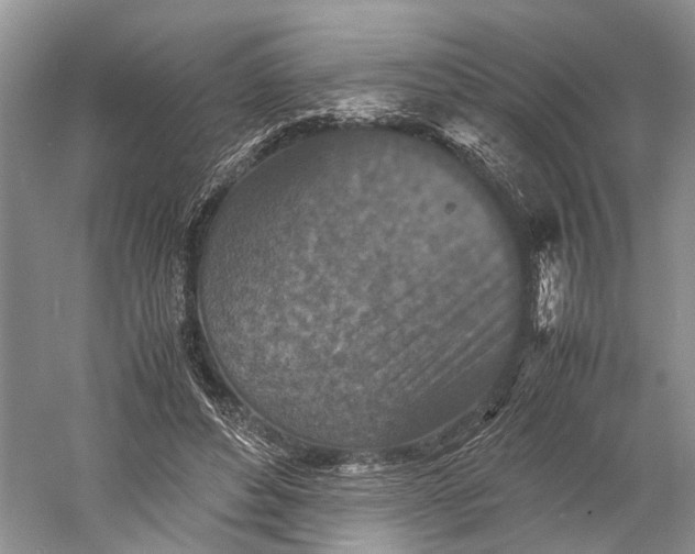 X0000060550496200511171542