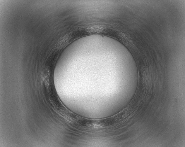 X0000060550498200511171542