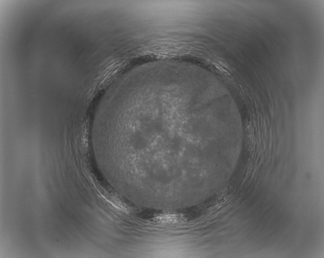 X0000060550499200511171542