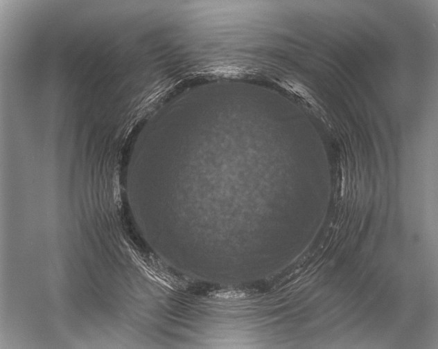 X0000060550500200511171542