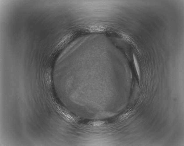 X0000060550501200511171542