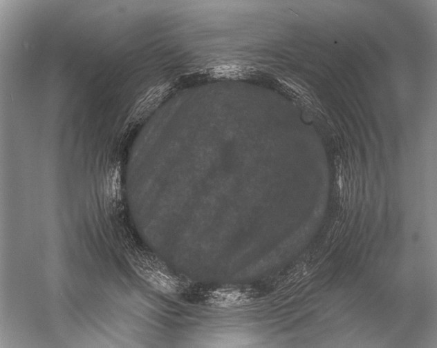 X0000060550502200511171542