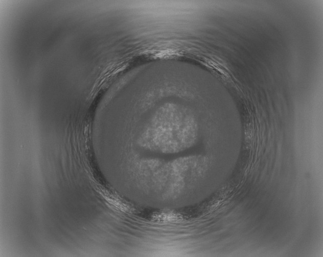 X0000060550503200511171542