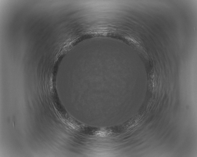 X0000060550504200511171542