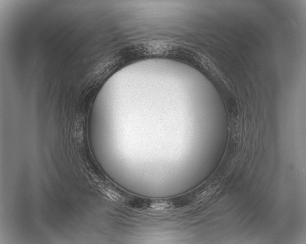 X0000060550505200511171542