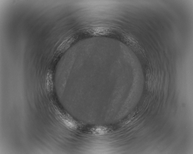 X0000060550506200511171542