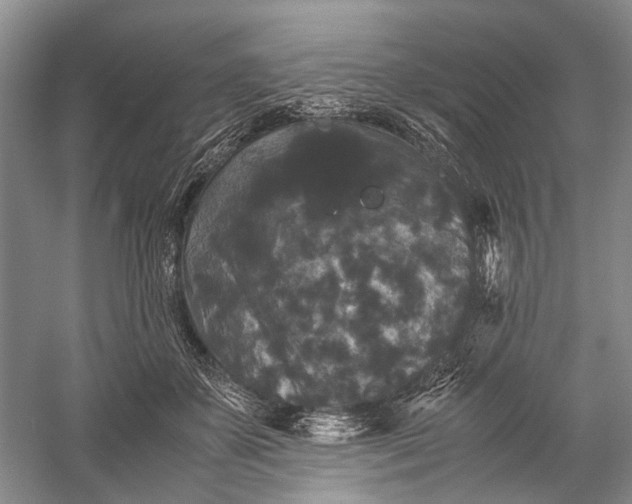 X0000060550507200511171542