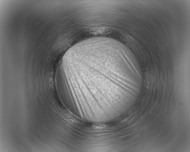 X0000060550510200511171542