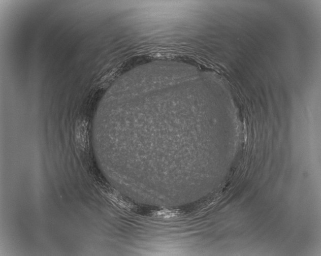 X0000060550511200511171542