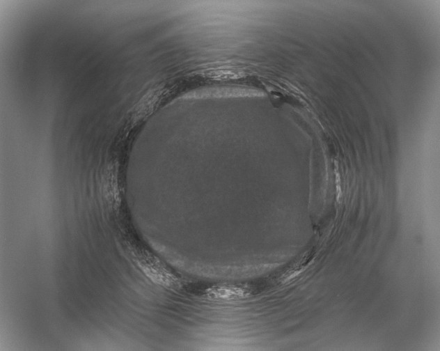 X0000060550512200511171542