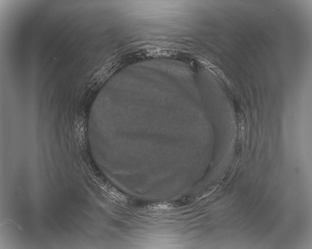 X0000060550513200511171542