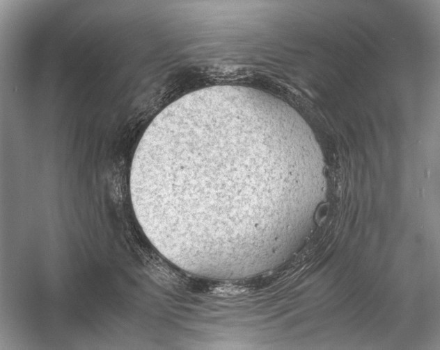 X0000060550515200511171542