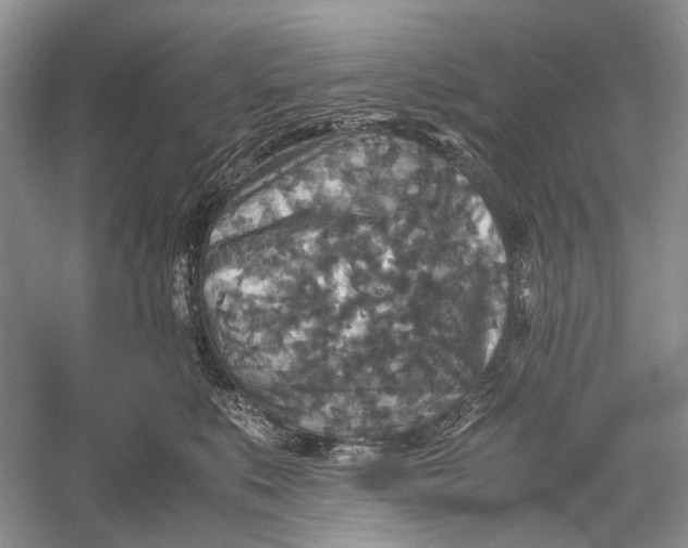 X0000060550519200511171542