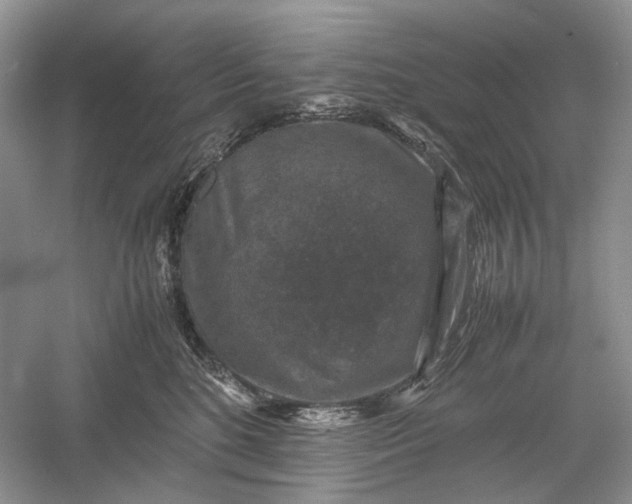 X0000060550520200511171542