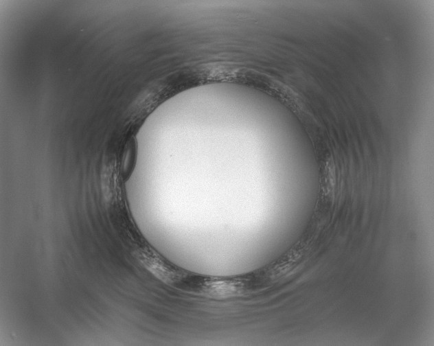 X0000060550522200511171542