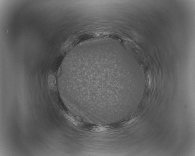 X0000060550523200511171542