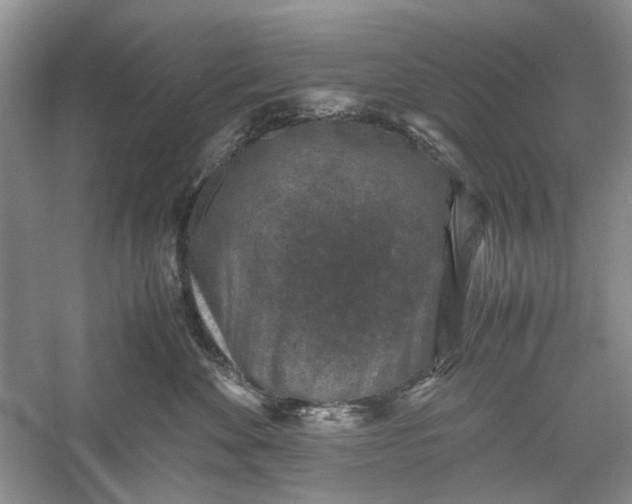 X0000060550524200511171542