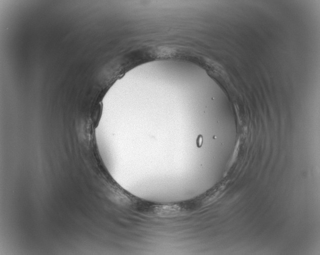 X0000060550525200511171542