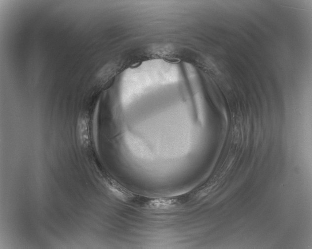 X0000060550526200511171542