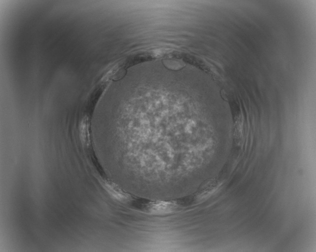 X0000060550527200511171542