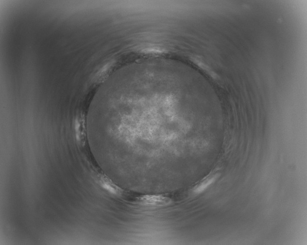 X0000060550528200511171542