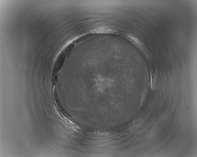 X0000060550531200511171541