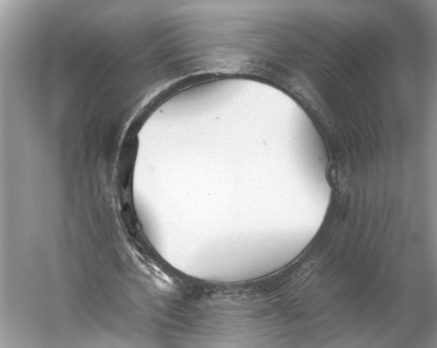 X0000060550532200511171541